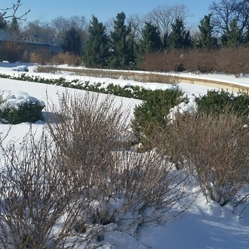 Unique Gardens