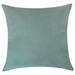 Delara - Delara Set of 1 Velvet 20x20", Cushion Cover, Light Blue, Pillow Cover Only - With a removable cover made of velvet, these decorative throw pillows will liven up your chair, bed, or sofa with its fun motif design. The colors will blend with your interior decor and look just right on your couch.