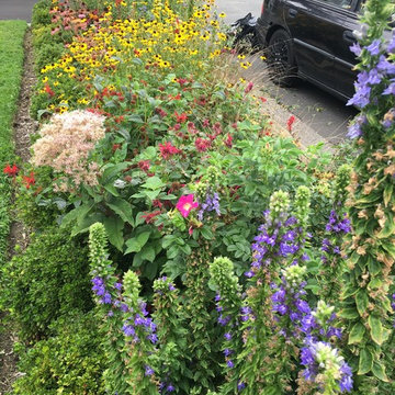 Butterfly Garden/Wild Garden
