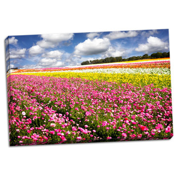 Fine Art Photograph, Field of Flowers IV, Hand-Stretched Canvas