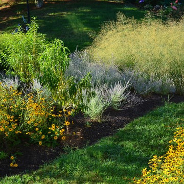 Complete New Planting Design in Towson, MD