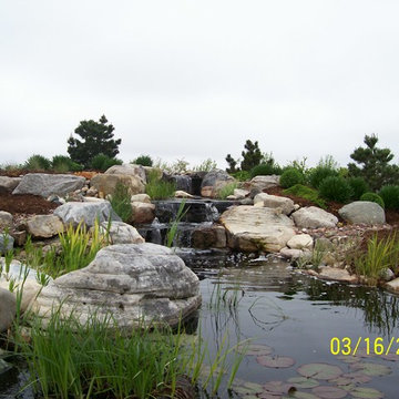 WATER FEATURE