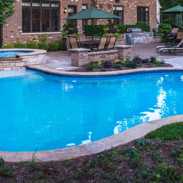 Elmhurst, IL Freeform Swimming Pool and Raised Spa