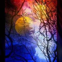 Lunar Facade - Prints And Posters