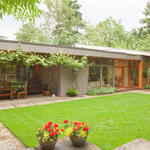 yard