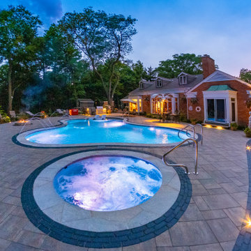 Oswego, IL Freeform Pool and Hot Tub