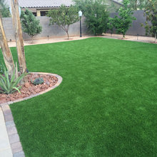 Backyard Project