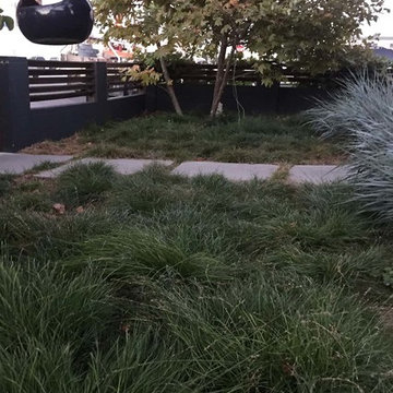 2018 Native Plant Garden Tour