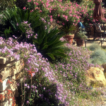 Xeriscape Drought Resistant Landscaping