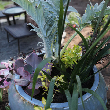 Potted Designs