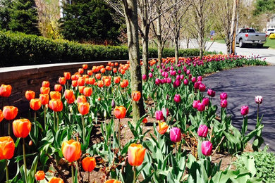 Design ideas for a mid-sized traditional full sun front yard stone landscaping in Boston.
