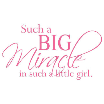 Decal Wall Sticker Such A Big Miracle In Such A Little Girl Quote, Pink
