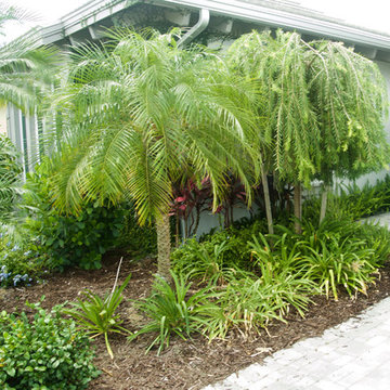 Tropical Landscape Full & Unique