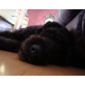 Heather Ward's photo