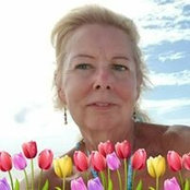Foto von Ann Schedl
