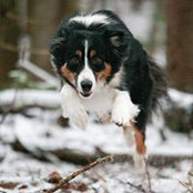 Jules Comeau's photo