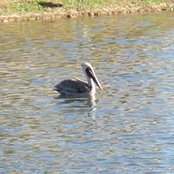 jACQUIE Wrightson's photo