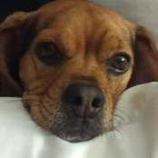 Betsy Lyons's photo
