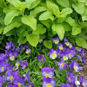 Bobbie Doxey's photo