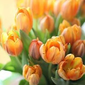 Julia Panchenko's photo