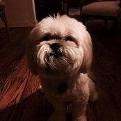Dorothea Harahan's photo