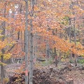Beth Hodgson Rausch's photo