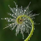 Martha Pinello's photo