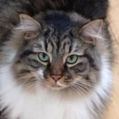 Norma Sommers's photo