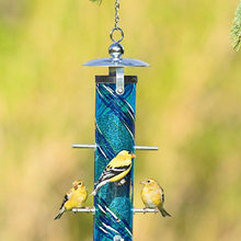 Bird feeder
