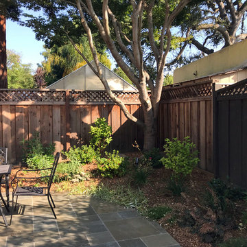 Low maintenance English Garden