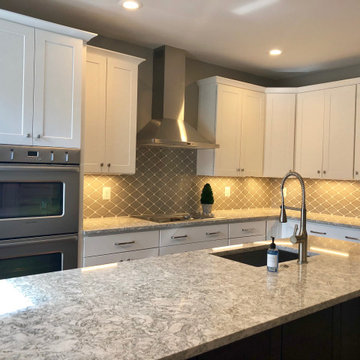Reston Town Center Full Remodel