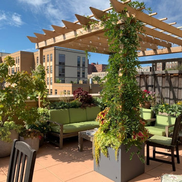Lush Eclectic Rooftop Garden Harlem