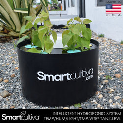 HYDROPONIC INTELLIGENT SYSTEM PLANTER - IOT - Products