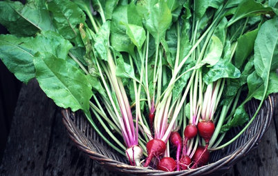 8 Last-Minute Additions to a Summer Edible Garden