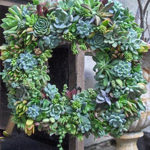 wreaths