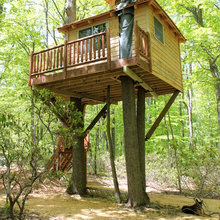tree house