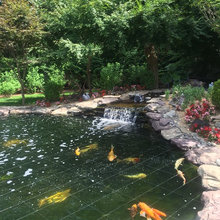 Japanese influence garden