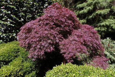 Photo of a landscaping in Madrid.