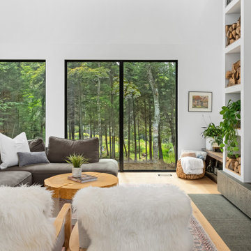 Forest Edge