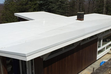 Butterfly Flat Roof