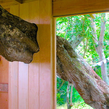 Treehouse bedroom