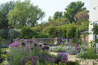 Contemporary garden in Hertfordshire.
