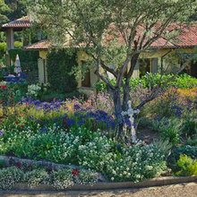 Landscape Design Elements