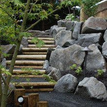 steps to woods