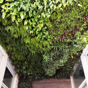Living Walls