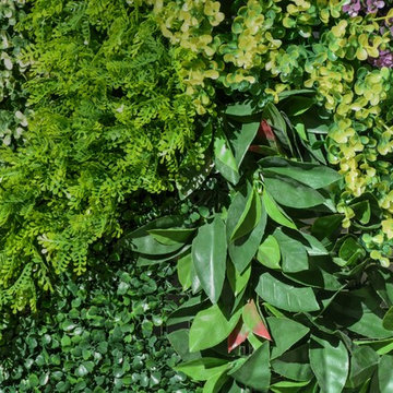 Green Walls