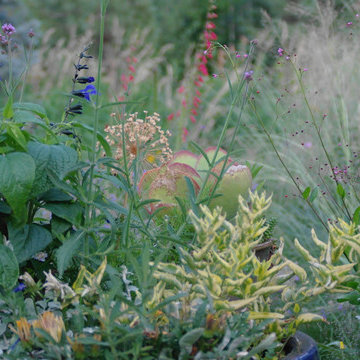 Container Plantings That, Used En Masse, Add Another Layer of Drama