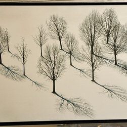 Shadows from Above - Artwork