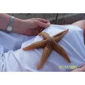 Stephanie Guerry's photo