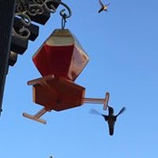 Pat Ziobro's photo